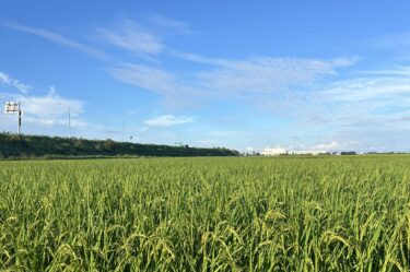 目標に向かって努力するときは仲間がいた方がいいし。応援してくれる人がいるからこそ頑張れるものです。